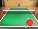 Table Tennis - World Tour  screenshot