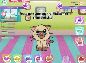 Kitty Championship